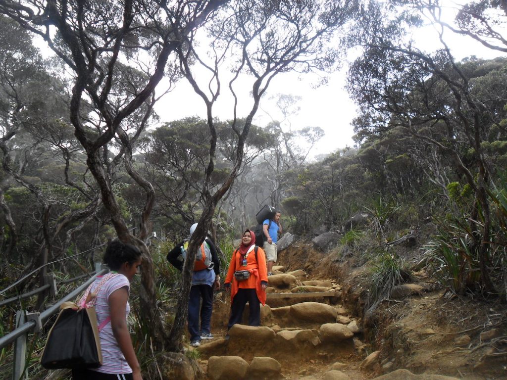 Eco Adventure